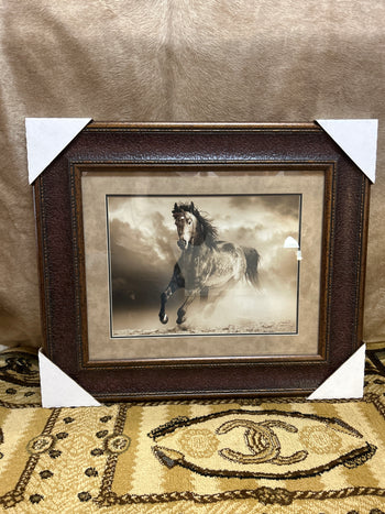 Wild Stallion
